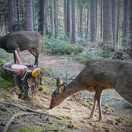 Ferienwohnung Kochs Beeren Oberfresen Bagian luar foto