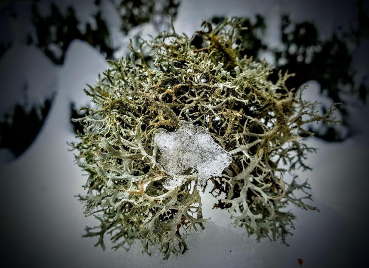 Ferienwohnung Kochs Beeren Oberfresen Bagian luar foto