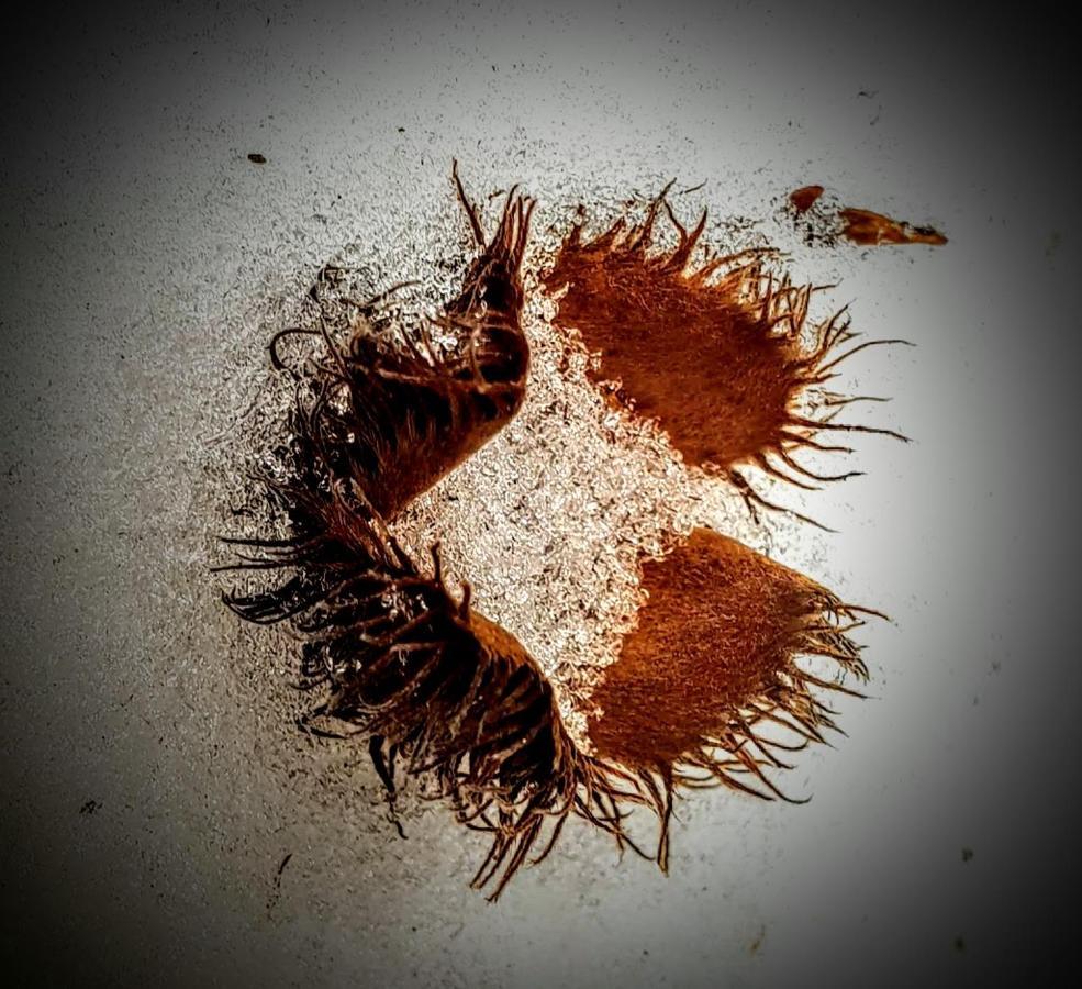 Ferienwohnung Kochs Beeren Oberfresen Bagian luar foto