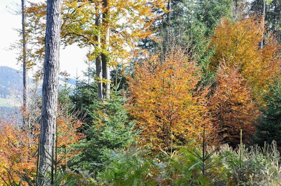 Ferienwohnung Kochs Beeren Oberfresen Bagian luar foto